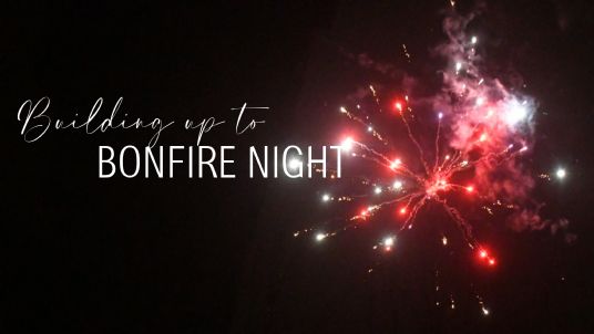 bonfire night horse care