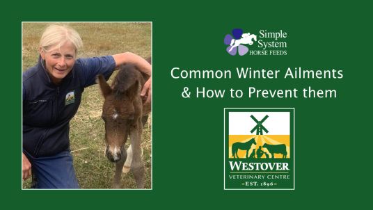 Westover Large Animal Vets and Simple System Horse Feeds