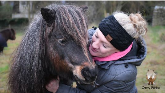 Dinky Ponies fed on Simple System