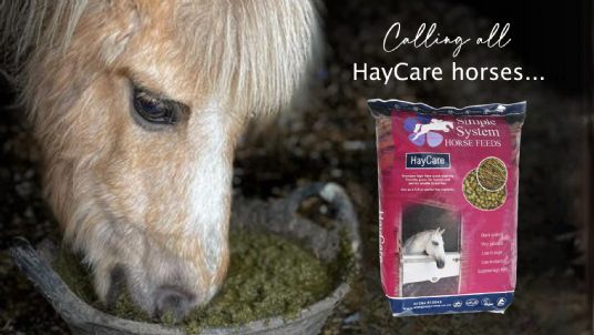 HayCare for Elderley Horses