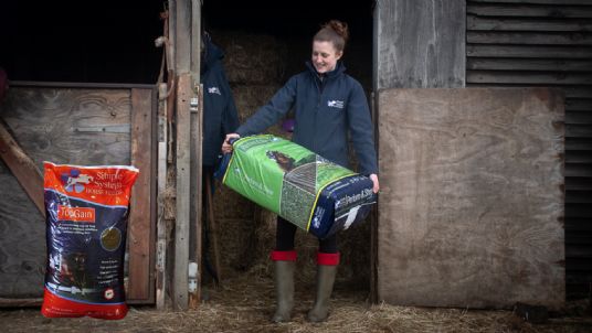 Conditioning horse feed