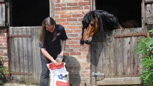 Horse feed supplement Total Eclipse